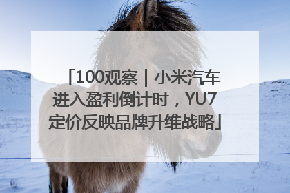100观察｜小米汽车进入盈利倒计时，YU7定价反映品牌升维战略