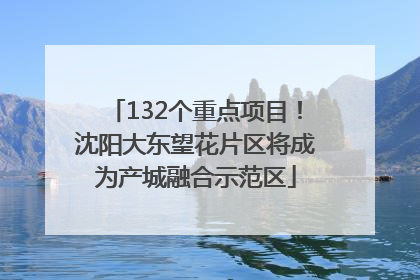 132个重点项目！沈阳大东望花片区将成为产城融合示范区