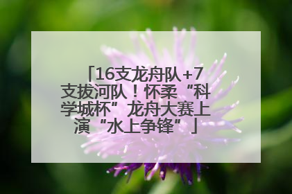 16支龙舟队+7支拔河队！怀柔“科学城杯”龙舟大赛上演“水上争锋”