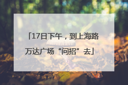 17日下午，到上海路万达广场“问招”去