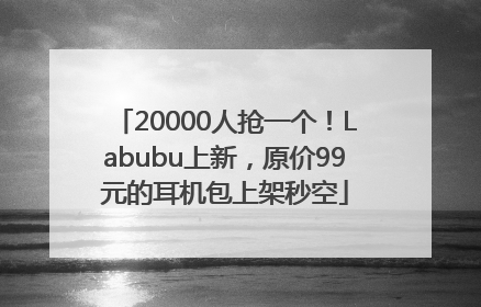 20000人抢一个！Labubu上新，原价99元的耳机包上架秒空
