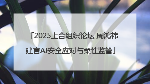 2025上合组织论坛 周鸿祎建言AI安全应对与柔性监管
