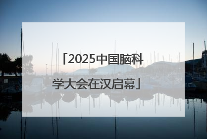 2025中国脑科学大会在汉启幕