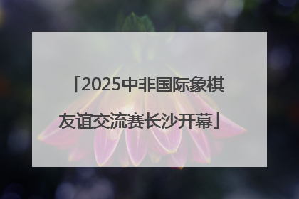 2025中非国际象棋友谊交流赛长沙开幕
