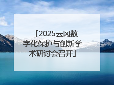 2025云冈数字化保护与创新学术研讨会召开