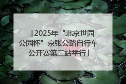 2025年“北京世园公园杯”京张公路自行车公开赛第二站举行