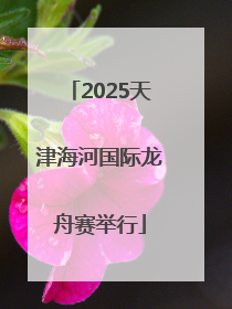 2025天津海河国际龙舟赛举行