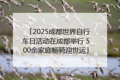 2025成都世界自行车日活动在成都举行 500余家庭畅骑迎世运