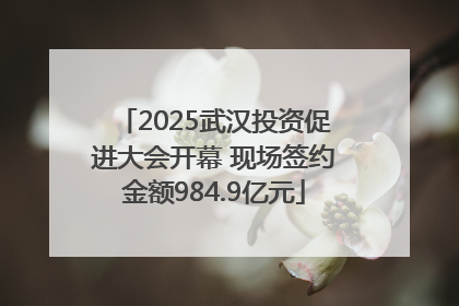 2025武汉投资促进大会开幕 现场签约金额984.9亿元