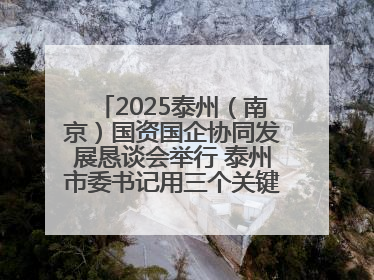 2025泰州（南京）国资国企协同发展恳谈会举行 泰州市委书记用三个关键词推介泰州