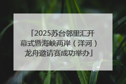 2025苏台邻里汇开幕式暨海峡两岸（洋河）龙舟邀请赛成功举办