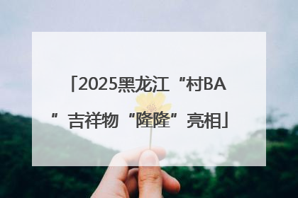 2025黑龙江“村BA”吉祥物“隆隆”亮相
