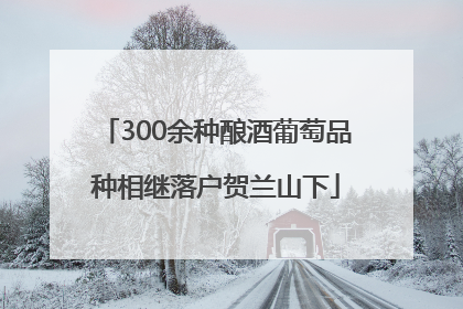 300余种酿酒葡萄品种相继落户贺兰山下