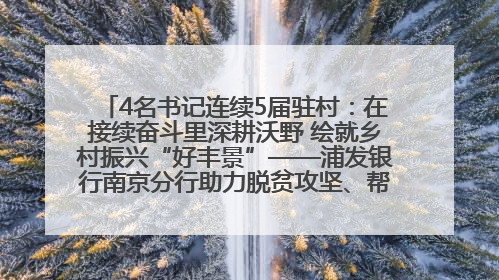 4名书记连续5届驻村：在接续奋斗里深耕沃野 绘就乡村振兴“好丰景”——浦发银行南京分行助力脱贫攻坚、帮促乡村振兴记事（二）