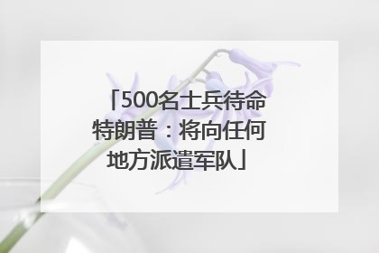 500名士兵待命 特朗普：将向任何地方派遣军队
