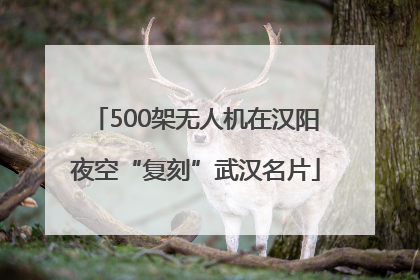 500架无人机在汉阳夜空“复刻”武汉名片