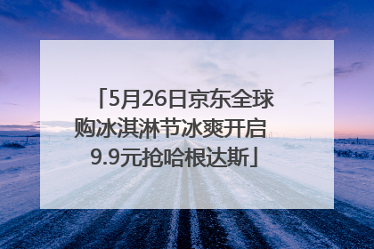 5月26日京东全球购冰淇淋节冰爽开启 9.9元抢哈根达斯