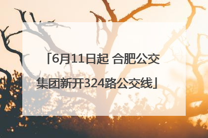 6月11日起 合肥公交集团新开324路公交线