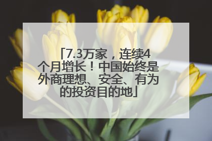 7.3万家，连续4个月增长！中国始终是外商理想、安全、有为的投资目的地