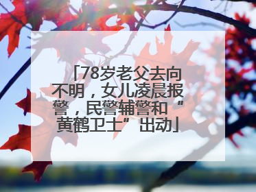 78岁老父去向不明，女儿凌晨报警，民警辅警和“黄鹤卫士”出动