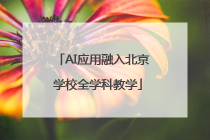 AI应用融入北京学校全学科教学