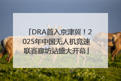 DRA首入京津冀！2025年中国无人机竞速联赛廊坊站盛大开幕