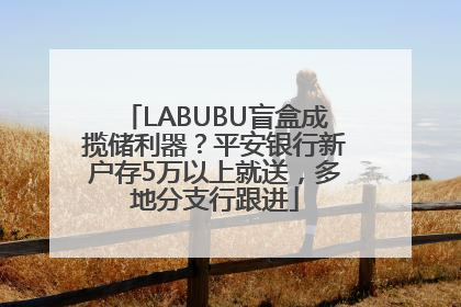 LABUBU盲盒成揽储利器？平安银行新户存5万以上就送，多地分支行跟进