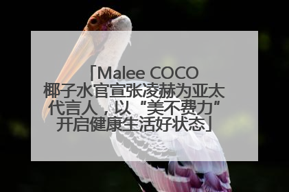 Malee COCO椰子水官宣张凌赫为亚太代言人，以“美不费力”开启健康生活好状态