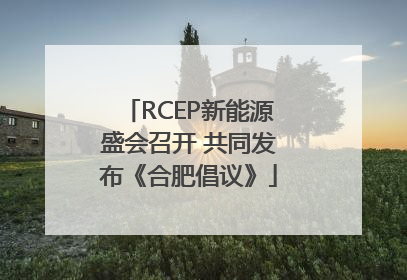 RCEP新能源盛会召开 共同发布《合肥倡议》