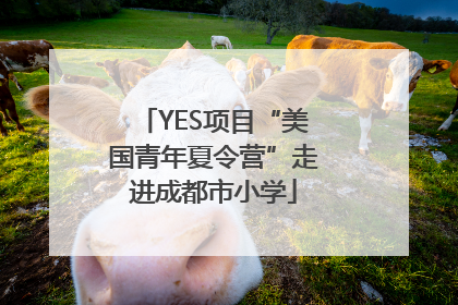 YES项目“美国青年夏令营”走进成都市小学
